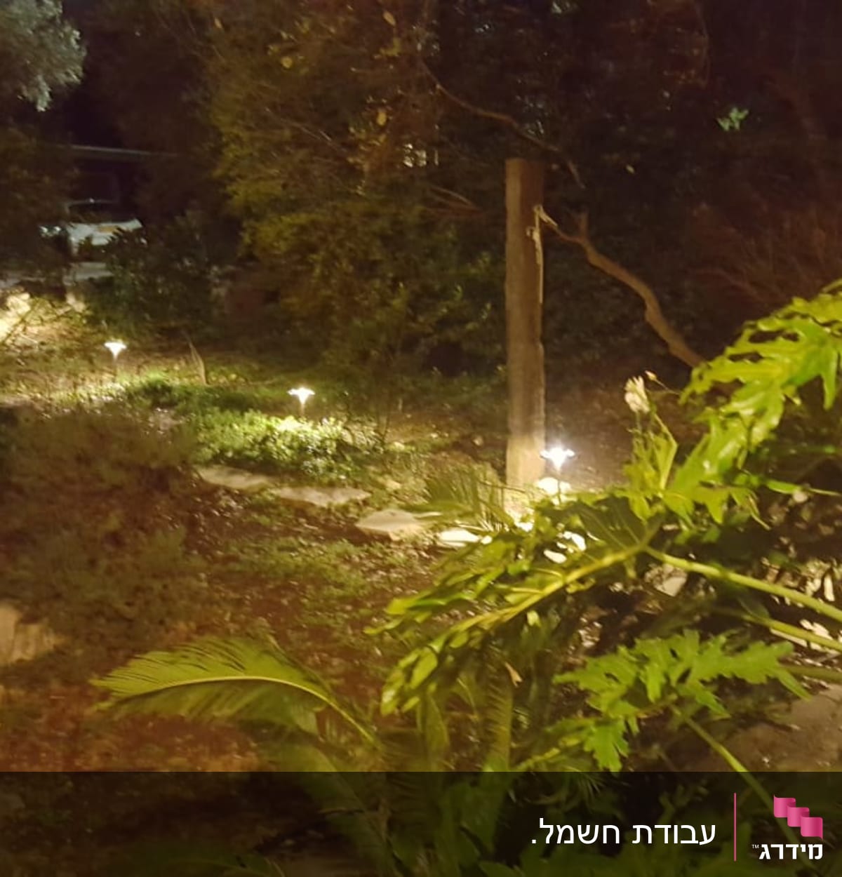 תאורת גינה בלילה עם צמחייה מסביב